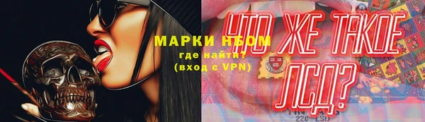 винт Алзамай