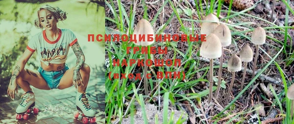 винт Алзамай