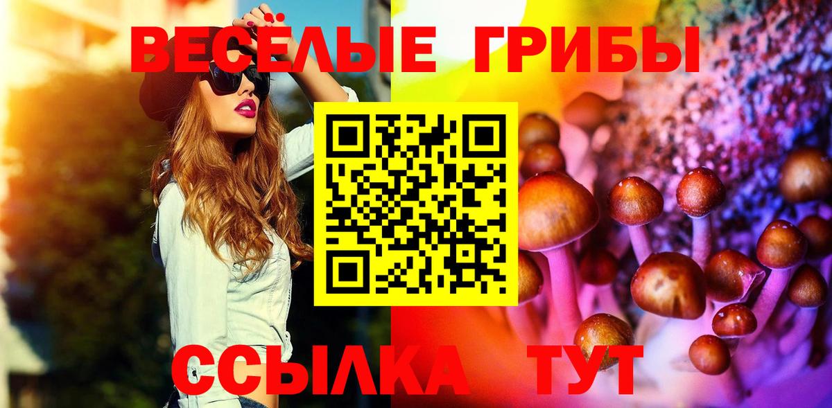 Качканар  Псилоцибиновые грибы MAGIC MUSHROOMS  Вход с VPN 